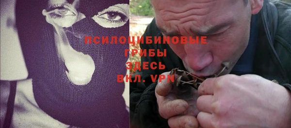 кокс Алексин