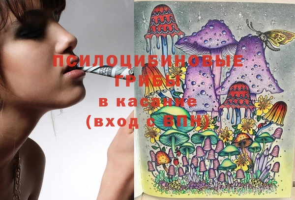 кокс Алексин