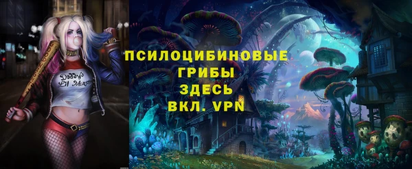 крисы Алексеевка